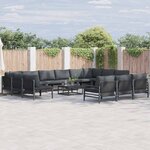 vidaXL Ensemble de canapé de jardin 13 Pièces Anthracite Acier