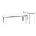 vidaXL Ensemble de tables basses 2 Pièces Blanc Bois massif de pin