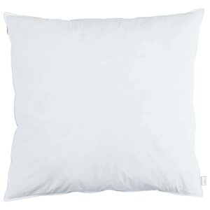 vidaXL Oreiller avec oreiller 2 Pièces Blanc 80 x 80 cm Plume