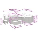 vidaXL Ensemble de canapé de jardin 12 Pièces Beige polyrotin