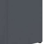 vidaXL Porte-parapluie Anthracite 15 5 x 15 5 x 49 cm Acier