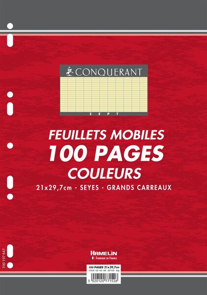 Feuillets mobiles 21x29 7 cm 100 pages grands carreaux jaunes 80g OXFORD
