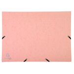 Trieur à soufflet en carte lustrée 12 compartiments Aquarel EXACOMPTA