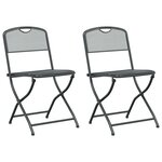 vidaXL Chaises de jardin 2 Pièces Anthracite 52 5 x 46 x 82 cm Fer