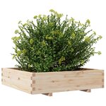 vidaXL Jardinière 100x100x26 5 cm bois de pin massif