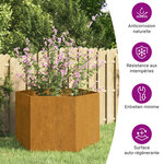 vidaXL Jardinière Rouillé 60x60x45 cm Acier corten