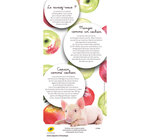 Collector 4 timbres - Cochons - Lettre Verte