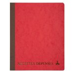 Piqûre 220x170 Recettes-dépenses 80 Pages - Couleurs Assorties - X 10 - Le Dauphin