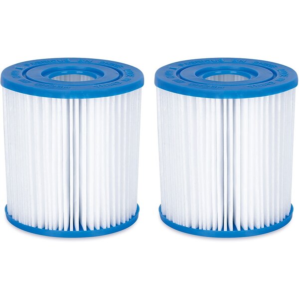 Summer Waves TW17-P57000402000 - Cartouche filtrante de remplacement Type I (2-pack)