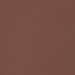 vidaXL Auvent latéral rétractable de patio 170x300 cm Marron