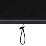 vidaXL Store roulant d'extérieur 100 x 250 cm Anthracite