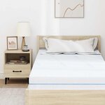 vidaXL Matelas Blanc 100 x 200 cm Mousse