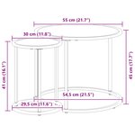 vidaXL Ensemble de tables basses 2 Pièces 55 x 55 x 45 cm acier