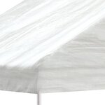 vidaXL Belvédère avec toit blanc 11 15x4 08x3 22 m polyéthylène