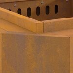 vidaXL Foyer sans fumée Marron 48 x 48 x 51 cm Acier Corten