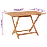 vidaXL Table pliable de jardin 120x70x75 cm bois d'eucalyptus solide