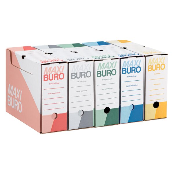 Boîtes archives assorties 10 cm - maxiburo - lot de 20