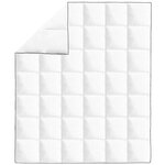 vidaXL Couette en duvet d'hiver 200 x 220 cm