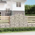 vidaXL Paniers à gabions arqués 25 Pièces 200x50x160/180 cm Fer galvanisé
