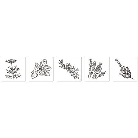 Kit mini - tampons bois:Herbes aromatiques  5 pces 2x2x2 5cm+accessoires / bte