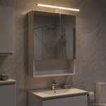 vidaXL Armoire Miroir de Salle de Bain Blanc 50 x 14 5 x 70 cm