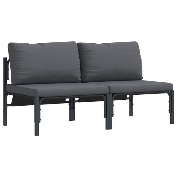 vidaXL Mobilier de jardin avec coussin 2 Pièces Anthracite Acier