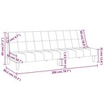 vidaXL Canapé-lit à 2 places Noir Velours