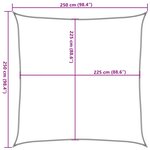 vidaXL Voile d'ombrage 160 g/m² Noir 2 5x2 5 m PEHD