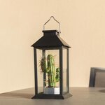 Lanterne végétale solaire pablo noir verre h35cm