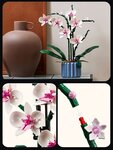 LEGO Botanicals - L'orchidée - Set de Création 10311 pour Adultes