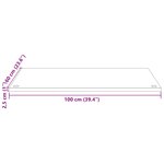 vidaXL Dessus de bureau blanc 100x60x2 5 cm bois massif de pin