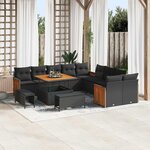 vidaXL Ensemble de canapé de jardin avec coussin 13 Pièces Noir