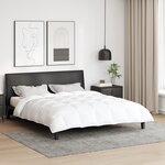 vidaXL Couettes et Duvets Blanc 200 x 220 cm Bas