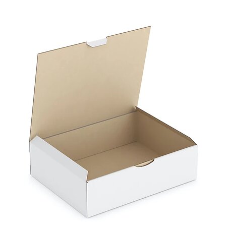Boîte carton blanche d'expédition rajapost 28x22x8 cm (lot de 50)