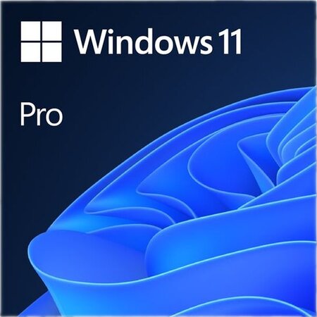 Windows 11 professionnel - licence perpétuelle - 1 pc - a télécharger