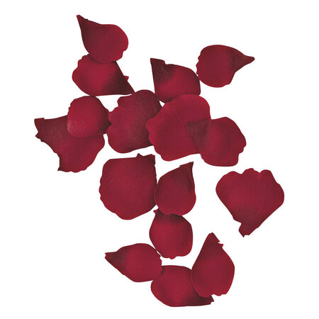 Pétales de roses Rouge 3 et 4 5 cm 41 pièces