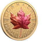 Monnaie MAPLE LEAF Ultra High Relief 1 Oz Or 200$ Canada 2026