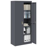 vidaXL Armoire de rangement 2 Pièces Anthracite 80 x 40 x 180 cm Acier