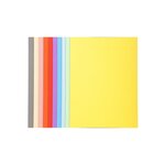 Paquet de 100 chemises Forever® 220 100  recyclé 24x32cm Assorties x 5 EXACOMPTA