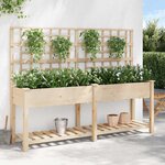 vidaXL Cache-pot de jardin avec étagère Beige 203.5 x 54 x 152.5 cm