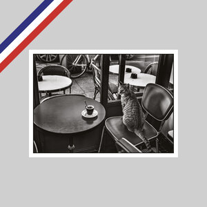 Carte peter turnley - café  paris  france  2016.