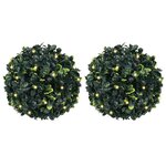 vidaXL Boules de buis artificielles avec lumières LED 2 Pièces vert 22 cm