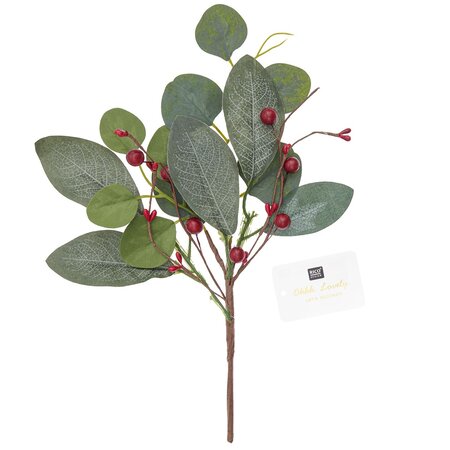 Branche d'eucalyptus et baies rouges 30 5 cm