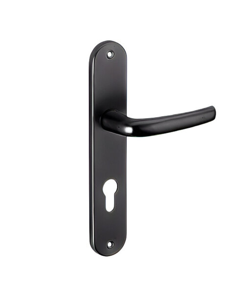 THIRARD - Ensemble de poignées pour porte d'entrée Maia trou de cylindre  carré 7mm  entr'axes 195mm  noir - THIRARD