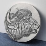 Pièce de monnaie en Argent 2000 Francs g 62.2 (2 oz) Millésime 2022 Expressions of Wildlife BUFFALO