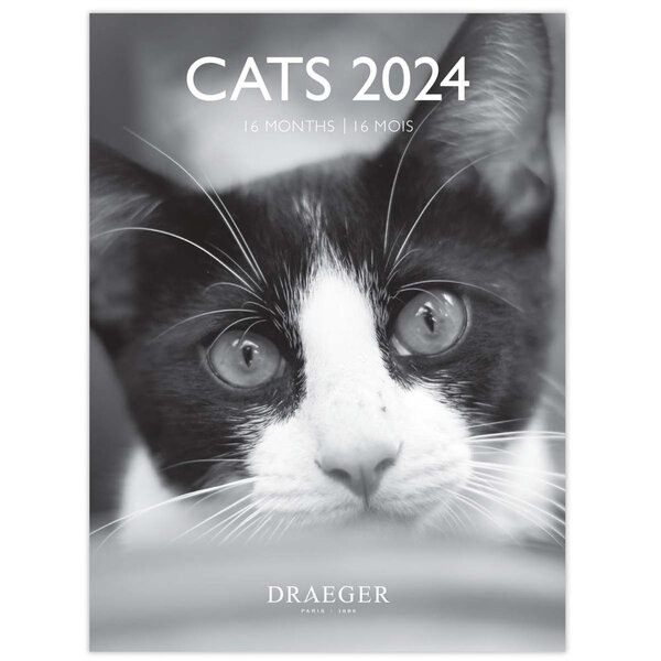 Petit calendrier mural 14x18  cm - 2024 - Chats noir et blanc - Draeger