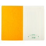 Piqûre 32x19 5cm Journal De Caisse Ou Banque 5 Débits - 5 Crédits 31 Lignes 80 Pages - Couleurs Assorties - Exacompta