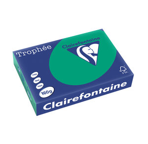 Ramette 250 Feuilles Papier 160g A4 210x297 mm vert sapin TROPHÉE