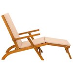 vidaXL Chaise longue inclinable et pliable 55 x 146 x 91 cm