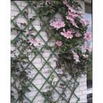 Nature Palissade de jardin 50 x 150 cm PVC Vert